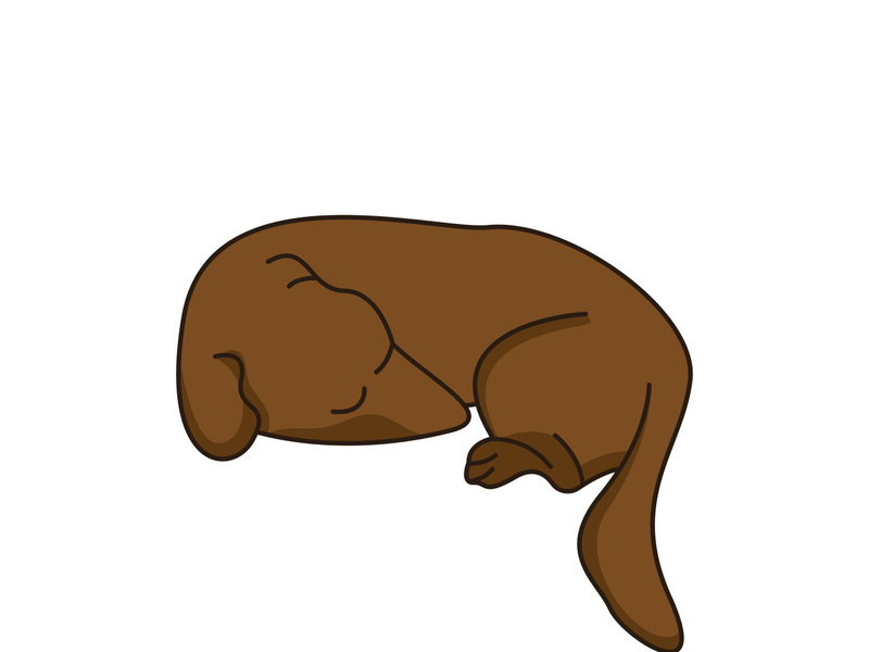 Dog logo vector design icon illustration template