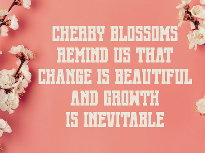 Cherry Blossom - Modern Slab Serif