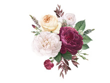 Vector Flower Watercolor Illustration