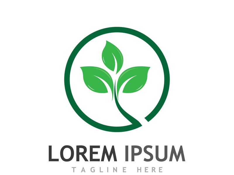 Natural green leaf logo design.