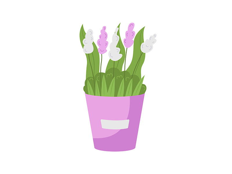 White, pink flowers in bucket semi flat color vector object