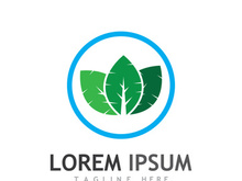 Natural green leaf logo design.