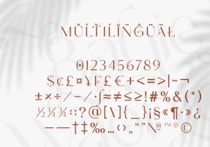 NCL BAHIE WAONID - STYLISH TYPEFACE