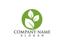 Green leaf logo Vector