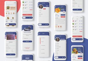 Grocery Delivery App