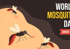 15 World Mosquito Day Illustration