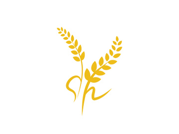 Agriculture wheat rice icon preview picture