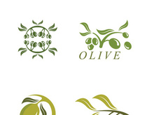 olive icon vector illustration design template