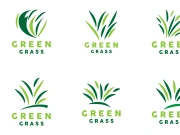 Green Grass Logo, Nature Plant Vector