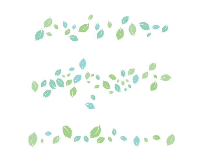 Mint Leaf icon template  illustration