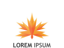 Maple leaf logo design with creative idea