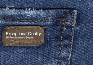 Free 40 Denim / Jean Textures