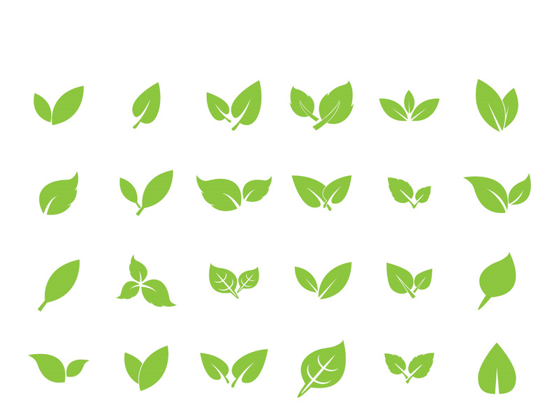 Leaf logo vector icon design template