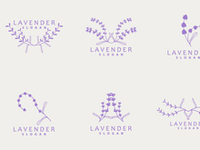 Lavender Logo Elegant Purple Flower Plant Illustration
