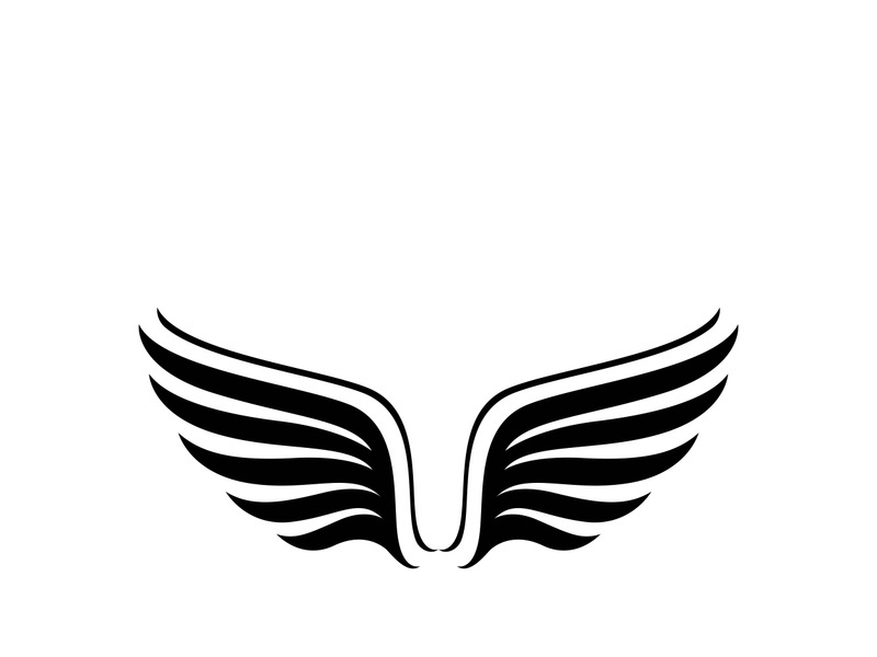 Wing illustration logo and symbol vector