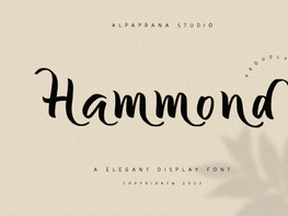 Hammond - Elegant Display Font preview picture