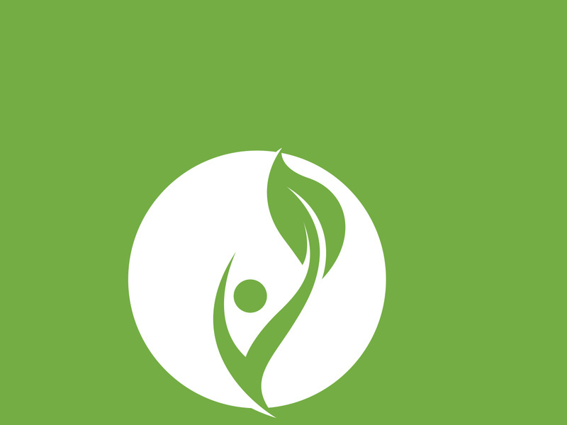 Leaf logo green nature vector image