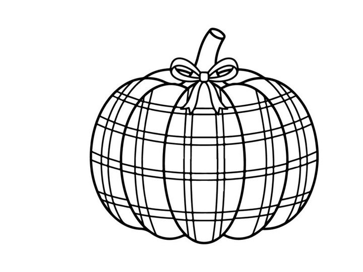 Plaid pumpkin line art illustration. Autumn harvest drawing with a decorative bow.