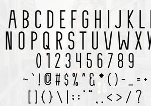 Minimalist Style - Modern Sans Serif