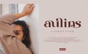 Elegant brand font material