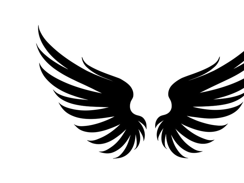black bird wing logo vector