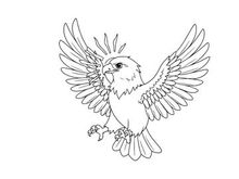 White eagle flying freedom vector illustration flat design