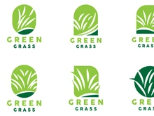 Green Grass Logo, Nature Plant Vector