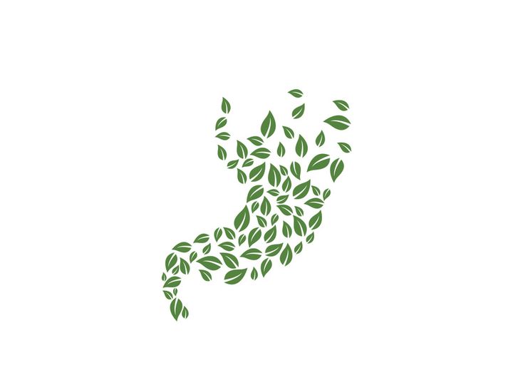 Stomach care icon designs concept illustration