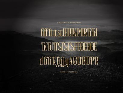 Reqaela | Display Serif Font