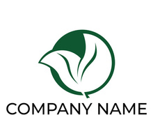 Green leaf logo design vector illustration