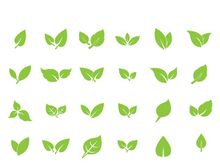 Leaf logo vector icon design template