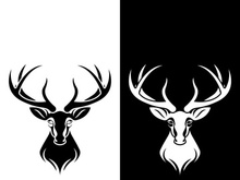Deer logo template vector icon illustration design
