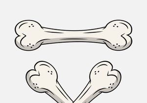 Broken Bone. Bone Fracture. Cute Dog Crack and Splint Bones. Dangerous Situation by Trauma to the Body. Vector Illustration for T Shirt Design and Other Usages.