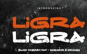 Ligra - Bold Display Typeface