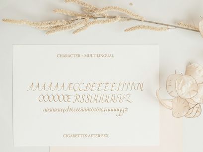 Cigarettes Script Font