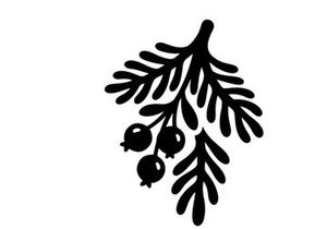 Black silhouette of a pine branch with berries for Christmas holiday design elements.