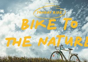 Better Season | Display Font