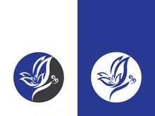 Beauty butterfly vector icon design