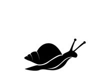 snail animal logo and symbol template