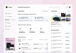 Paypay - Money Management Mobile and Saas App
