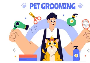 10 Pet Care and Grooming Illustration