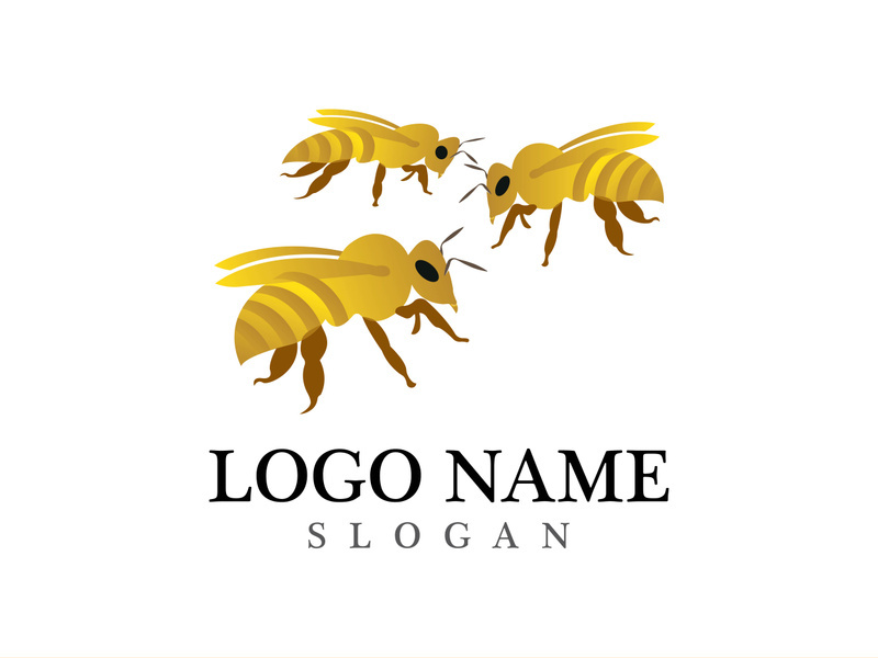 Bee logo vector icon illustration design