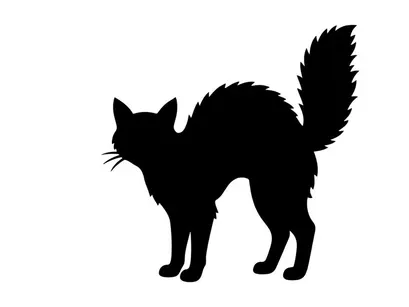 Silhouette Kucing dengan Ekor Lebat dalam Warna Hitam di Latar Belakang Putih