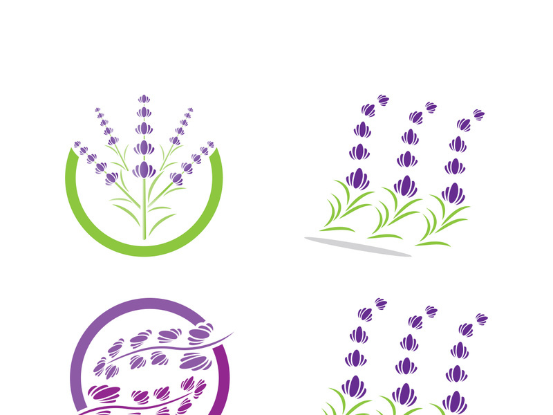 Lavender flower vector icon illustration design template