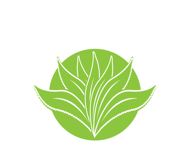 Aloe Vera logo icon design symbol beauty skin care