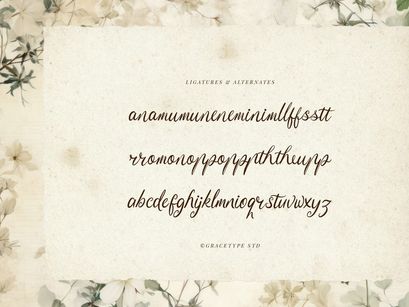 Serphina Lawliam | Handwritten Vintage Script