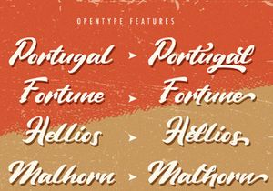 Vintage Style - Bold Script Font
