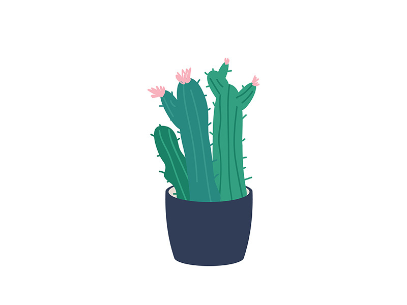 Blooming cactus cartoon vector illustration