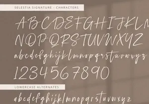 Selestia Signature - Handwritten Font
