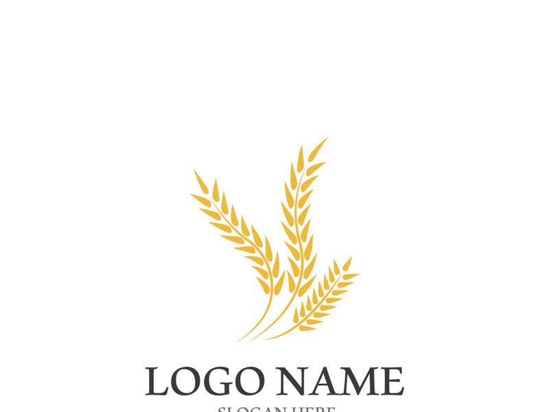 Wheat logo vector icon illustration design